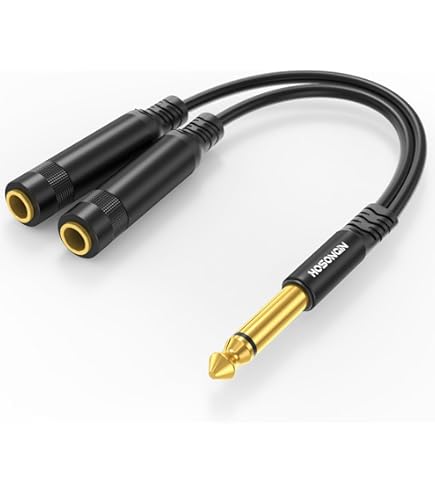 Amazon.com: Palmer PAL-PGA03 Y-Box Splitter for Guitars : Musical